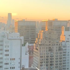 Meet your Posher, Riley